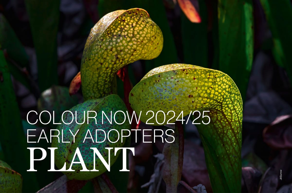 Colour Now 2024/25 | Early Adopters | PLANT