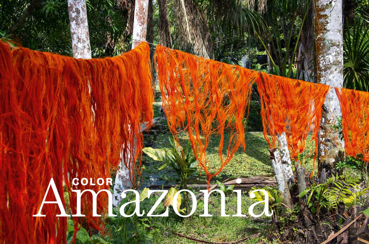 Color Amazonia