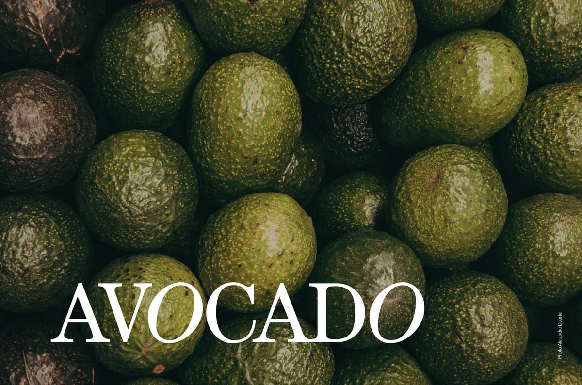 Avocado