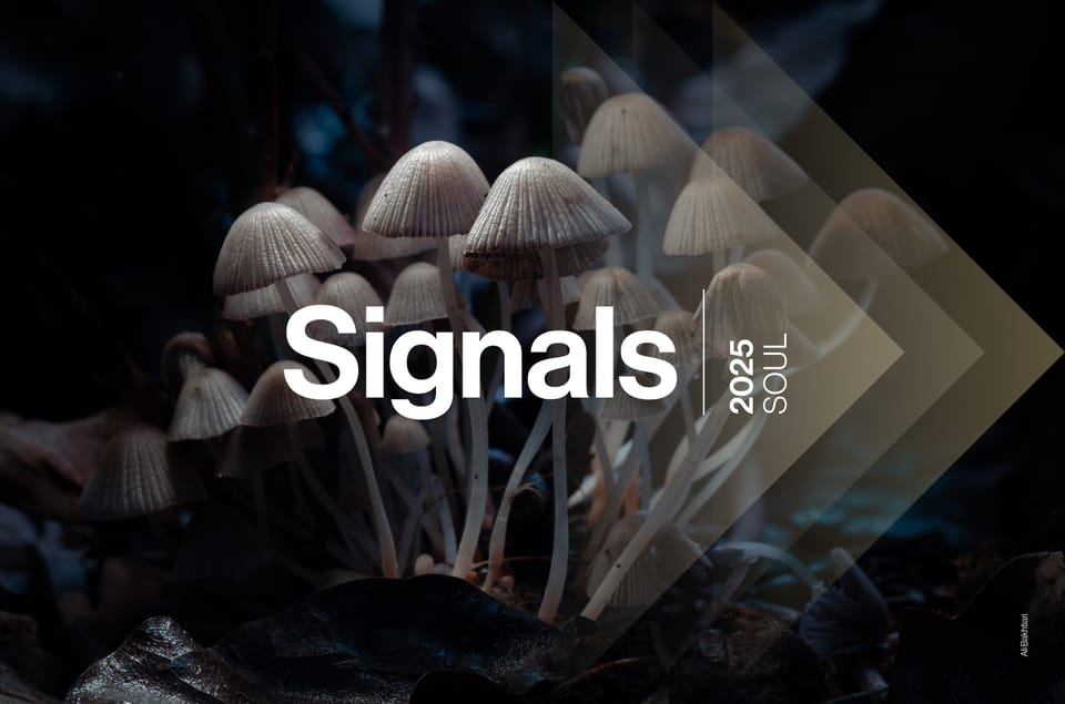 Signals 2025 | SOUL