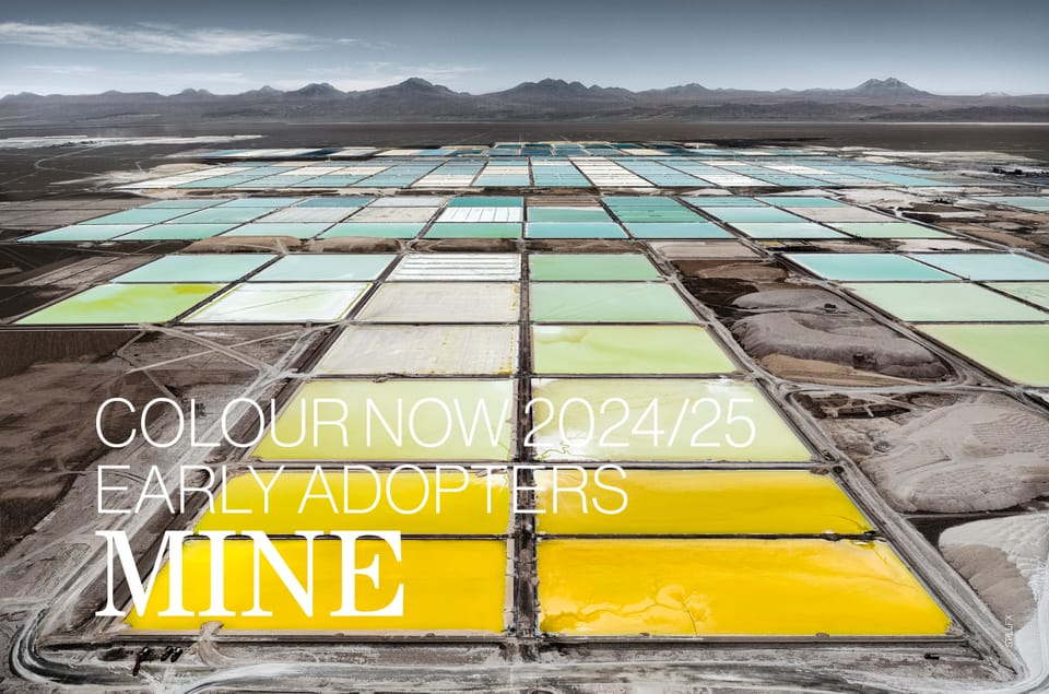 Colour Now 2024/25 | Early Adopters | MINE