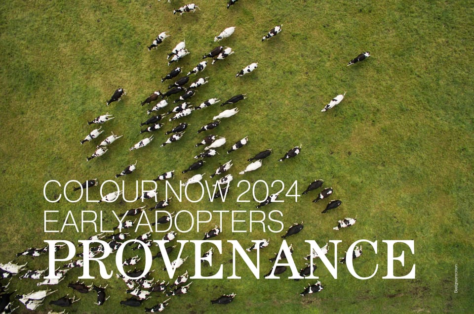 Colour Now 2024 | Early Adopters | PROVENANCE