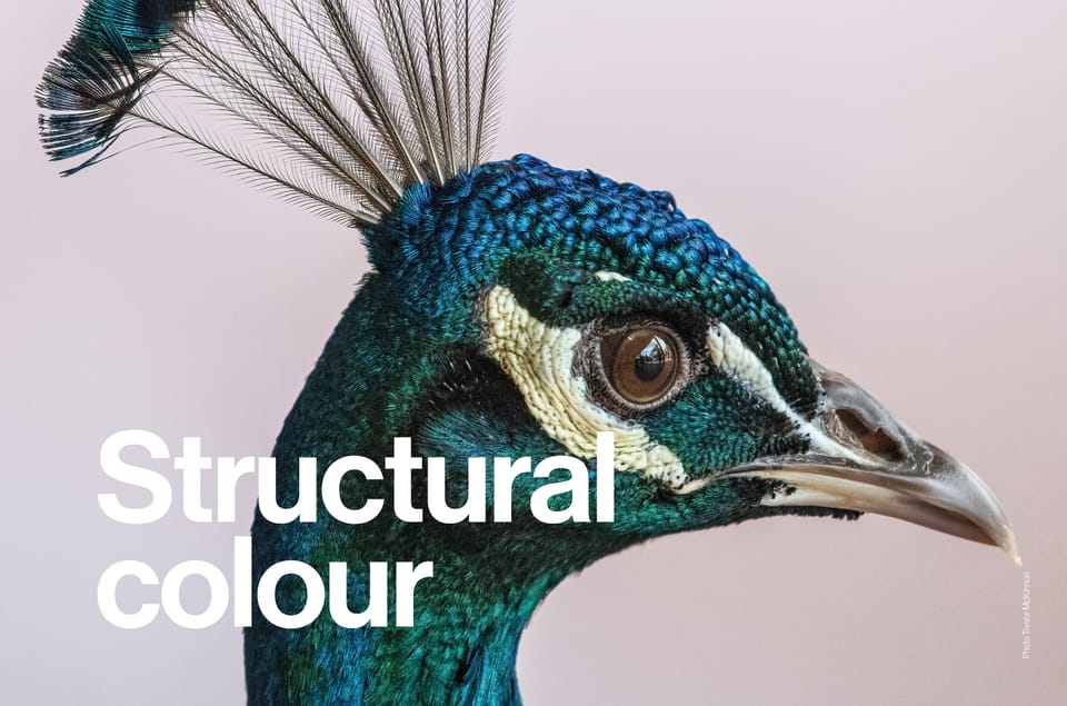 Structural Colour