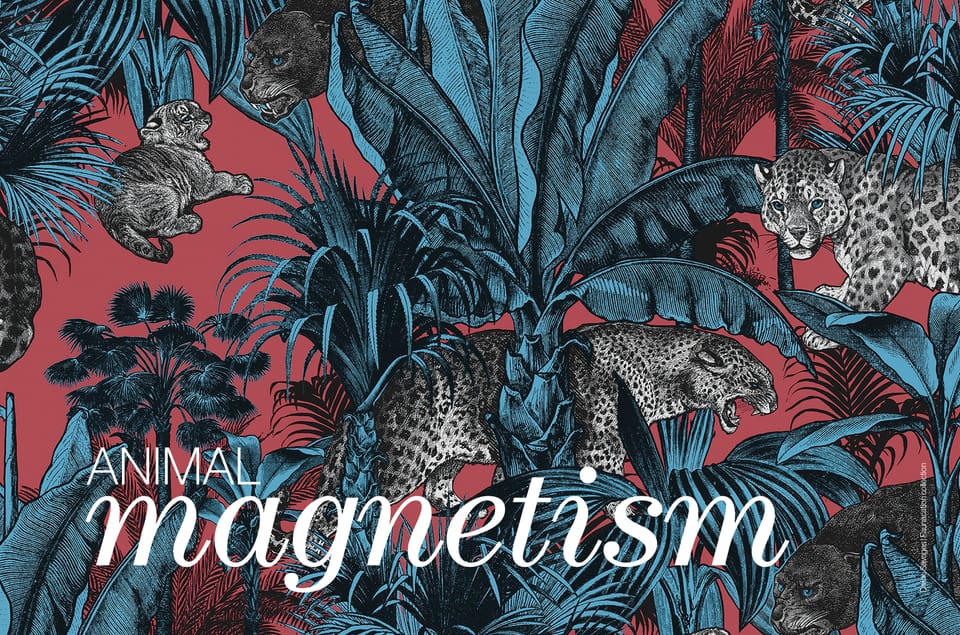 Animal Magnetism